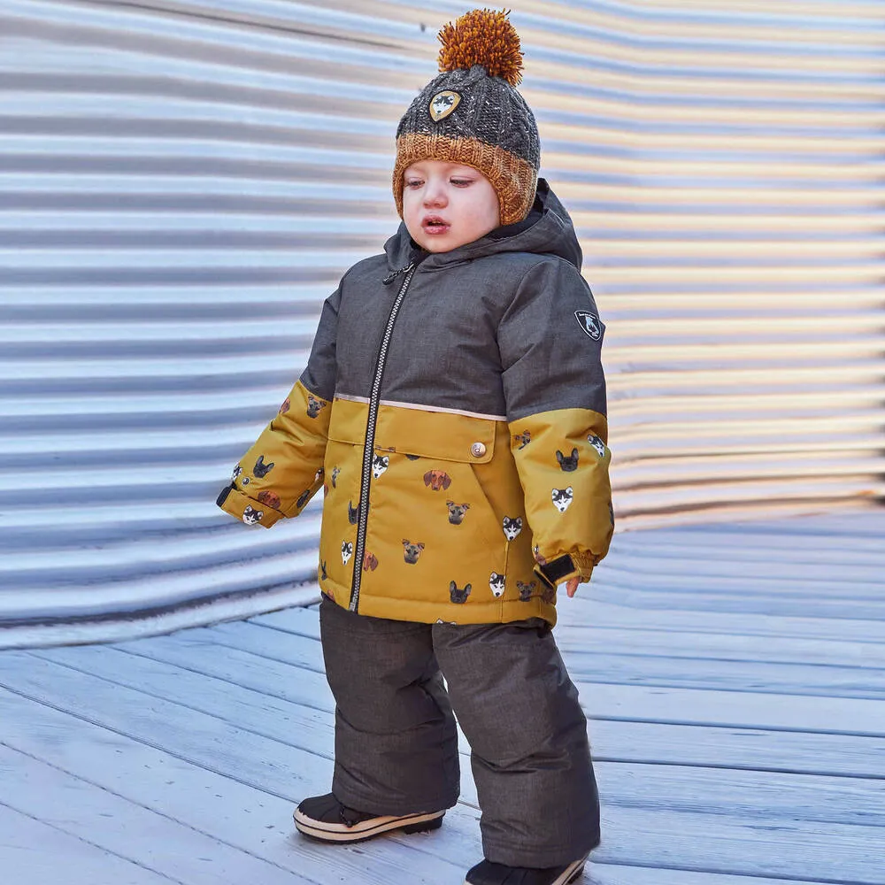 Boys Grey Puppy Snowsuit Set