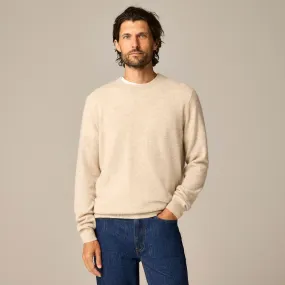 Cashmere crewneck sweater