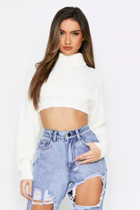 Turtleneck Super Cropped Knitted Sweater