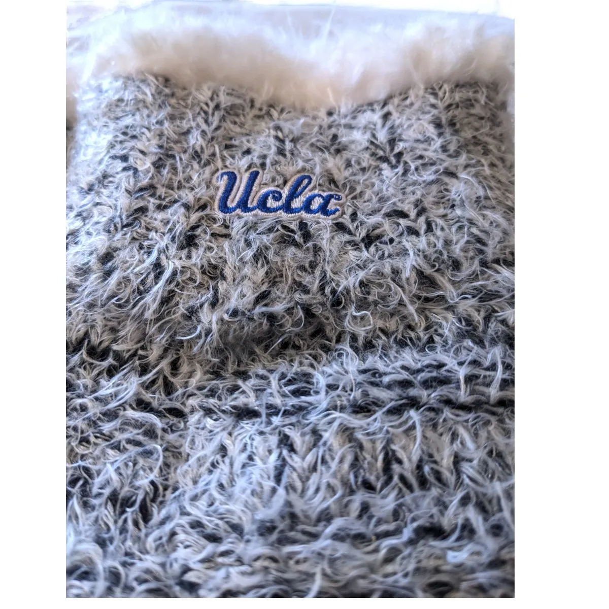 UCLA Script Michigan Snow